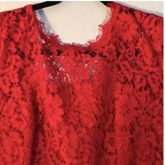 Pre-loved, Sz 4, J.Crew long-sleeve lace sheath dress, below knee, red - Picture 2 of 7